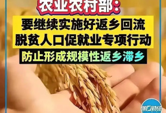 我回农村老家了，吓得赶紧声明不是"规模性返乡滞乡"