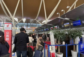 上海机场赴日旅客仍很多：临时改动成本太高