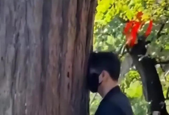 辛柏青与李乃文密赴大孤山 2次同行疑点重重 知情人曝目的不简单