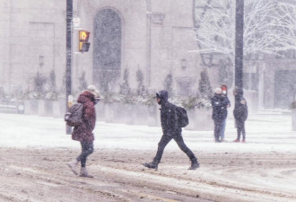 加拿大环境部针对南安省部分地区发布突发暴雪警告，多伦多飘雪