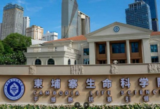 婴儿脊髓成回春原料？惊见太子集团和湖南官方