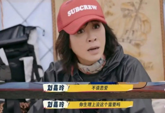 何赛飞刘嘉玲宁静“炮轰”流量明星，《一路繁花2》披着旅综骂内娱？