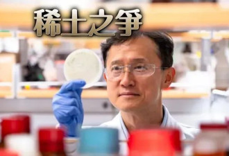 美韩裔教授“智能病毒”提炼法 中国稀土长城恐破功