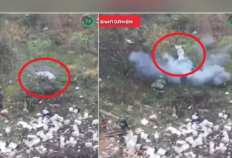 猪的报恩？自踩地雷肉身救2俄军 事了拂衣去…