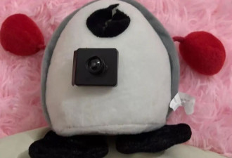 女子网购布娃娃发现内有类似摄像头装置,平台回应