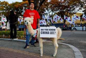 韩国拟修刑法“辱华可关5年” 李在明点头 全国哗然
