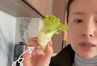 45岁董洁北京豪宅生活曝光，不请保姆不通暖气