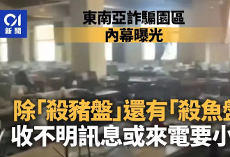 除"杀猪盘"之外还有“杀鱼盘” 收到这讯息要小心