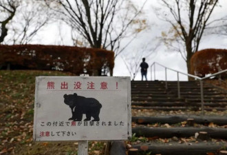 一个中国90后，在闹熊灾的日本当全职猎人