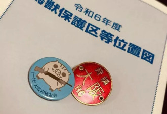 一个中国90后，在闹熊灾的日本当全职猎人