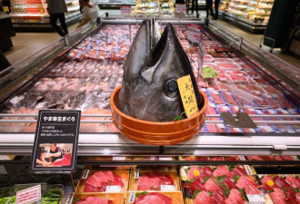 快讯！北京宣布禁止日本水产品进口