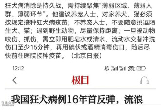 身边的疯狗离人越来越近! 中国狂犬病现大幅反弹