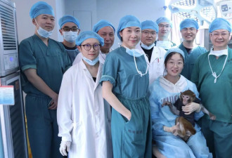 猪肾移植猴体内存活一年 中国“器官移植”再跨一大步