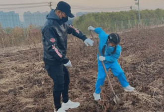 汪峰和女儿到菜地干农活，醒醒戴三道杠袖章