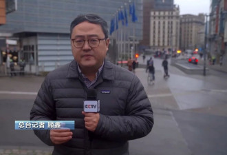 荷兰暂停对安世半导体的行政令出于何种考虑？