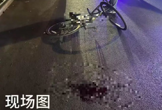 女子骑车被未拴绳宠物狗绊倒重伤，家属：已做开颅手术