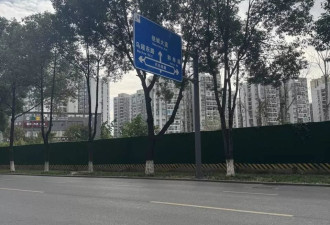 女子骑车被未拴绳宠物狗绊倒重伤，家属：已做开颅手术