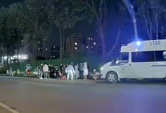 女子骑车被未拴绳宠物狗绊倒重伤，家属：已做开颅手术