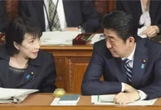 野田,岸田为何与高市切割?日本这次赌的是什么？