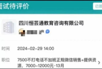 入职六个月，我从应届生变成了“诈骗犯”