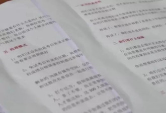 入职六个月，我从应届生变成了“诈骗犯”