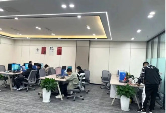 入职六个月，我从应届生变成了“诈骗犯”