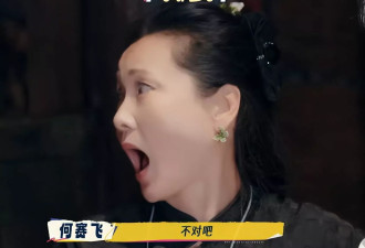 被低估的何赛飞，给了多少“跨界演员”一记耳光