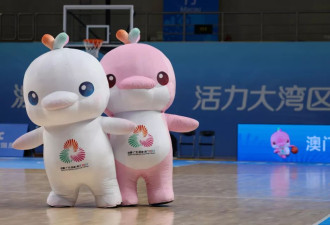 全运会落幕，最大赢家竟是一只“鸡”？