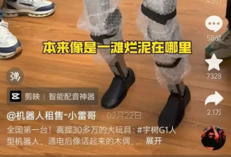 机器人租赁造富神话背后：狂热、内卷与中国式清醒