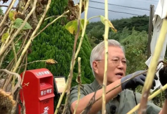 72岁前总统“再就业”，新身份让人意外...
