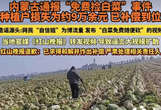 “免费捡白菜”事件：一出全链条失守的流量荒诞剧