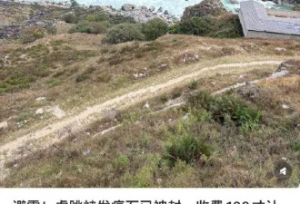 虎跳峡“发疯石”禁入后 村民收取100元“带路费”