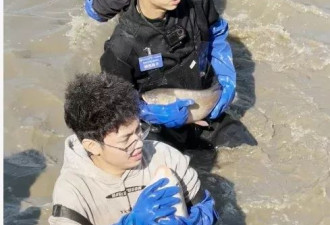 高校师生下湖捞15000斤鱼，超10万人直播围观