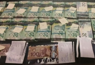 安省男子在自家车库地下埋藏超过120万加元现金全被没收