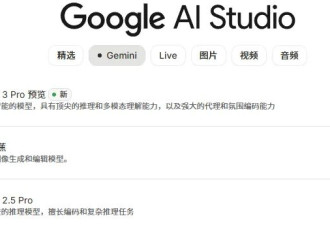 用了两天谷歌Gemini 3 感觉它彻底疯狂了