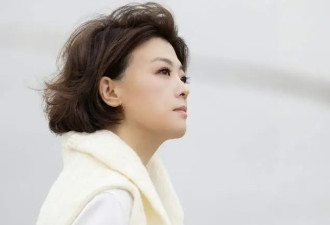 香港知名女星正在打离婚官司，遭家暴强忍20年