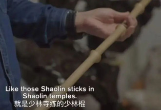 张伟丽输了，凭什么不挨骂?