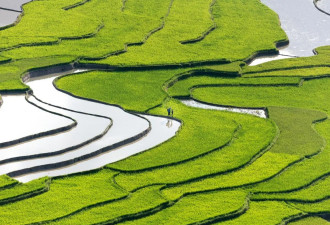 越南Sapa旅游指南 北部山城怎么玩？