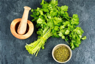 新研究揭密为何“突然爱上香菜” 竟然因为老了？
