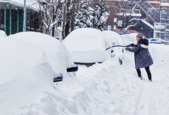 帮邻居铲雪差点倾家荡产！没人告诉我帮邻居铲雪会被报警啊