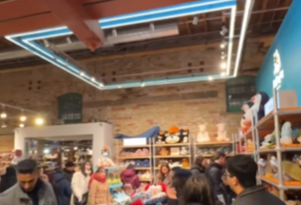 太火了! 藏在多伦多圣诞集市里的"萌店"被挤爆: 周末需要"门票"!