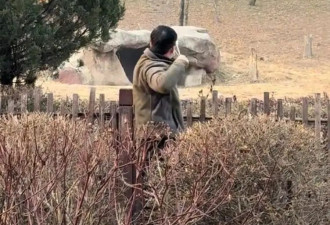 男子动物园内用弹弓射老虎，目击者称其填装弹丸