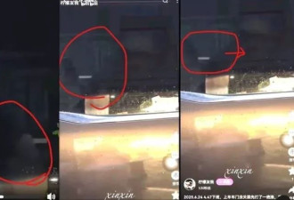 于朦胧疑遭搧巴掌画面疯传 全网怒炸：这浑蛋在哪