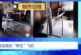 手搓飞机蹿红网络！面条厂制造 农田试飞 谁在贩卖…