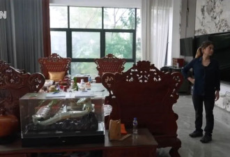 诈骗园区长这样 大亨豪宅有奥运规格泳池