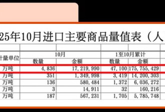 一天买空一个“国家” 全面大储备 什么信号