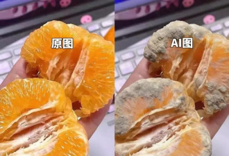 蔚然成风 用AI假图骗“仅退款”零元购 商家被薅哭了