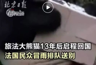旅法大熊猫“欢欢”“圆仔”启程回国，提前结束租期