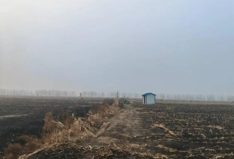 黑龙江宾县多处抗旱水源井建而不用荒废多年