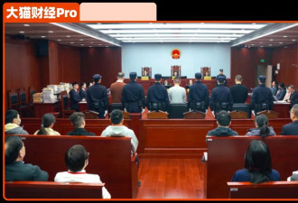 北大博士收割1000亿，人抓回来一年，钱没了